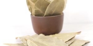 Clean And Good Size Bay Leaves