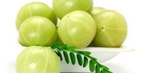 Fresh Amla