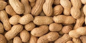 Shelled Peanut