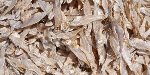 Dried Anchovies
