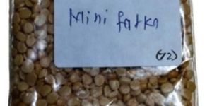 Mini Fatka Toor Dal