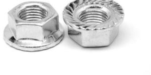 Stainless Steel Flange Nuts