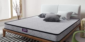 Orthopedic Coir Mattresses