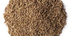 Cumin Seeds