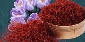 Kashmiri Mogra Saffron