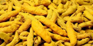 Turmeric