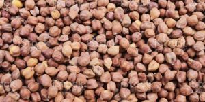 Black Chickpeas
