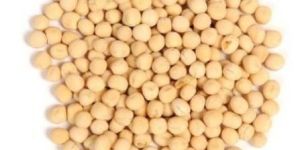 Dried White Peas