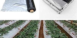 Mulching Paper
