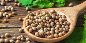 Coriander Seeds