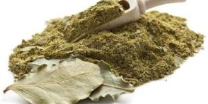 Bay Leaf Powder