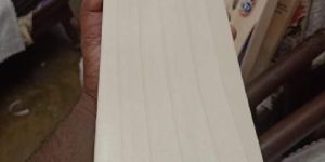 English Willow Cricket Bats