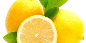 Fresh Lemon
