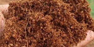High EC Coco Peat Powder