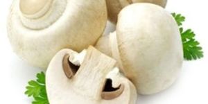 Fresh Button Mushroom