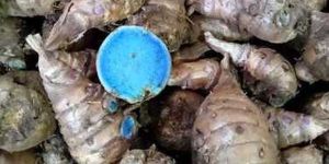 Black Turmeric