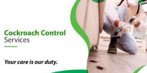 Cockroach Control Treatment