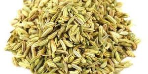 Big Fennel Seeds