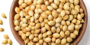 Coriander Seeds