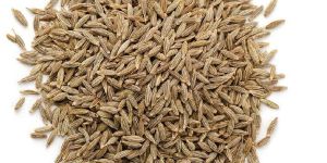 Cumin Seeds