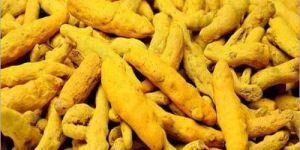 Turmeric Finger