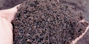 Bio Organic Fertilizer