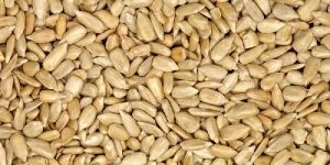 Sunflower Seeds