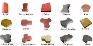 Interlocking Paver Block