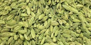 Green Fennel Seeds