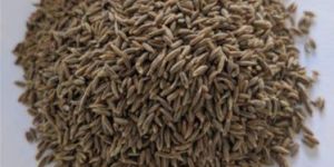 Organic Cumin Seeds