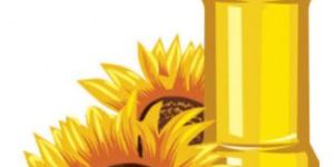 Sunflower Oil