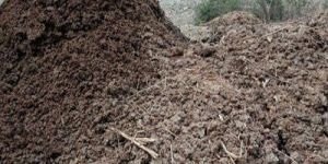 Dung Fertilizer