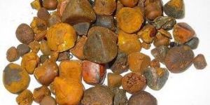 Ox Gallstone