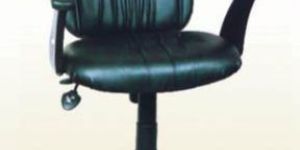 Puupy Wrinkle Mb Office Chair