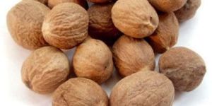 Dried Nutmeg