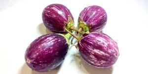 Fresh Brinjal