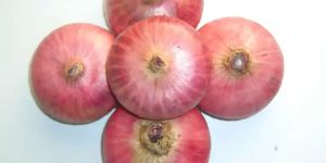 Fresh Onion