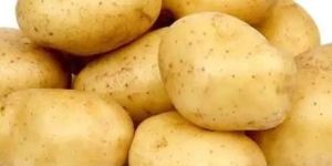 Fresh Potato