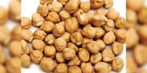 White Chickpeas
