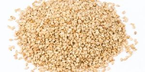 Sesame Seeds