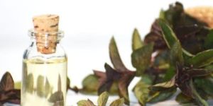 Spearmint Oil
