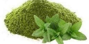 Spearmint Leaves Powder