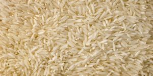 Type 3 Basmati Paddy Rice