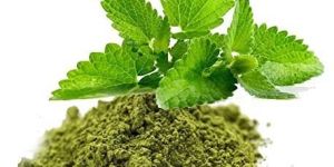 Vana Basil Powder