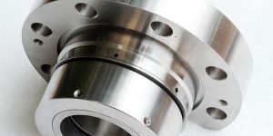 Pumps Seal