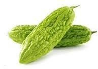 Fresh Bitter Gourd
