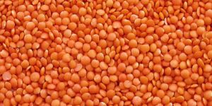 Red Split Lentils