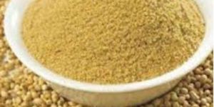 Natural Coriander Powder