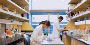 Bakery Product Testing Services