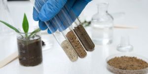 Soil Testing Services